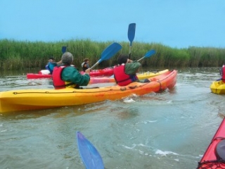  Canoeing on the Leyre 